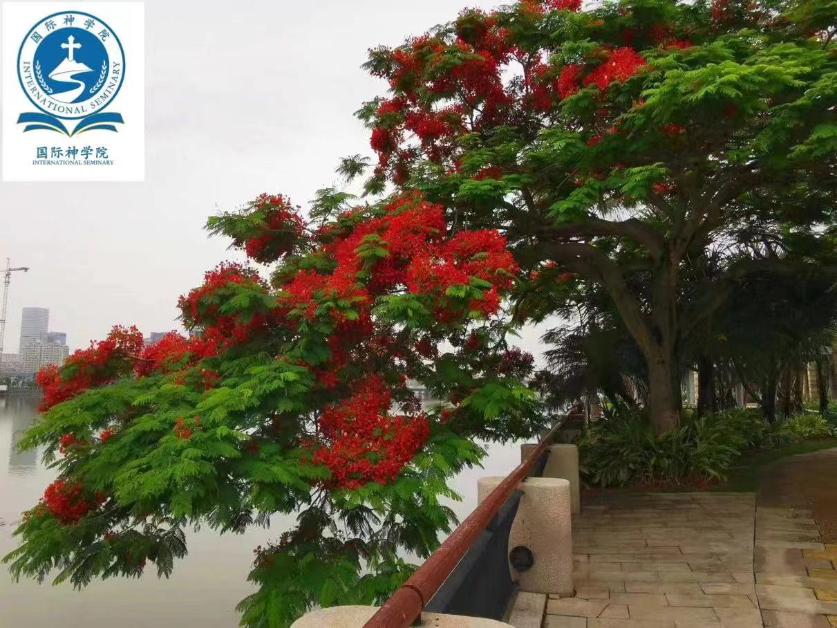 国家移民管理局：全面实施外国旅游团乘坐邮轮入境免签政策