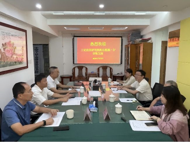 海南省能源协会与三亚经济研究院座谈交流