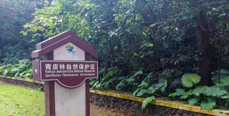 1773643340441128.jpg 图片2(1).jpg